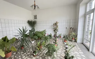 Casă 7 camere cu Teren 4.620 mp | Potențial pentru rezidență sau afacere | Carei - Poză 18