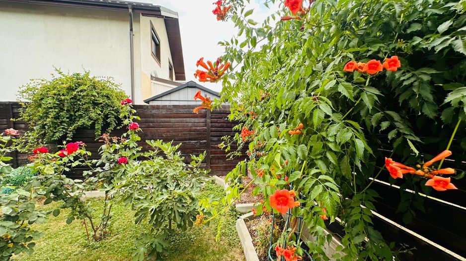 Parter cu structură pentru etaj, curte amenajată și organizare impeca - Poză 18