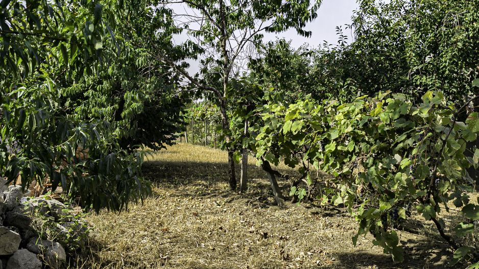 Casa noua la gri Pancota - Comision 0 la cumparator - Poză 10