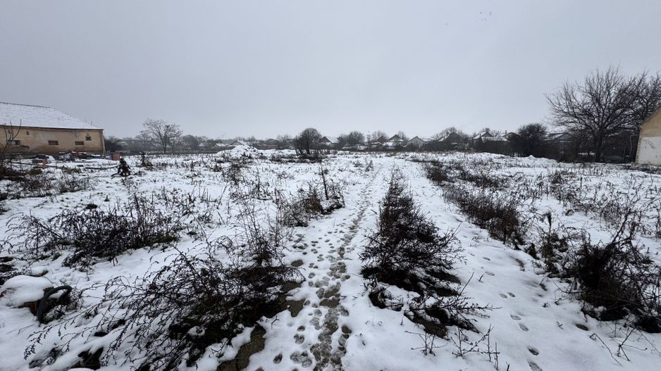 Teren Intravilan Becicherecu Mic 3200mp,F.S 40ml la DN6,Utilitati - Poză 3