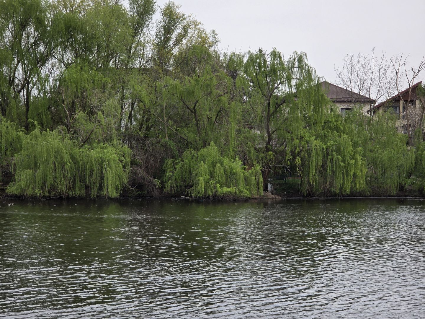 Vila premium - acces lac - investitie sigura - Tunari, Ilfov - Poză 1