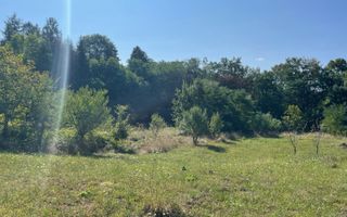 TEREN INTRAVILAN 1800 MP MIHAESTI ARGES COMISION 0 - Poză 10