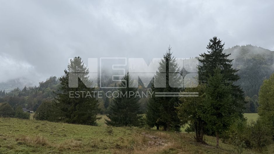 Teren Extravilan | 6.100 mp | Brodina | 41.500 € negociabil - Poză 4