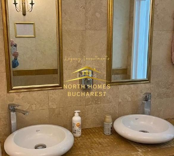 Spațiu comercial 290mp stradal, Bucur Obor - Poză 9