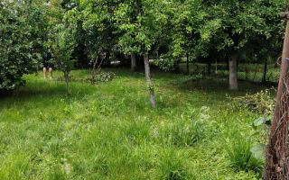 CASĂ DE VÂNZARE 5 CAMERE ÎN OȚELU-ROȘU, \JUD. CS - Poză 24