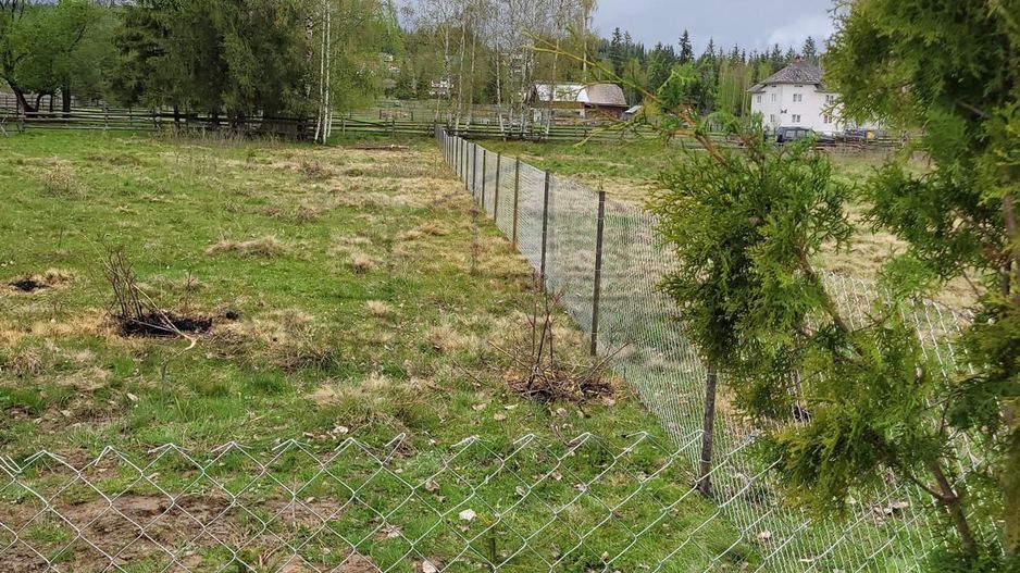 Teren Saru Dornei / Neagra Sarului - oportunitate investitie - Poză 2