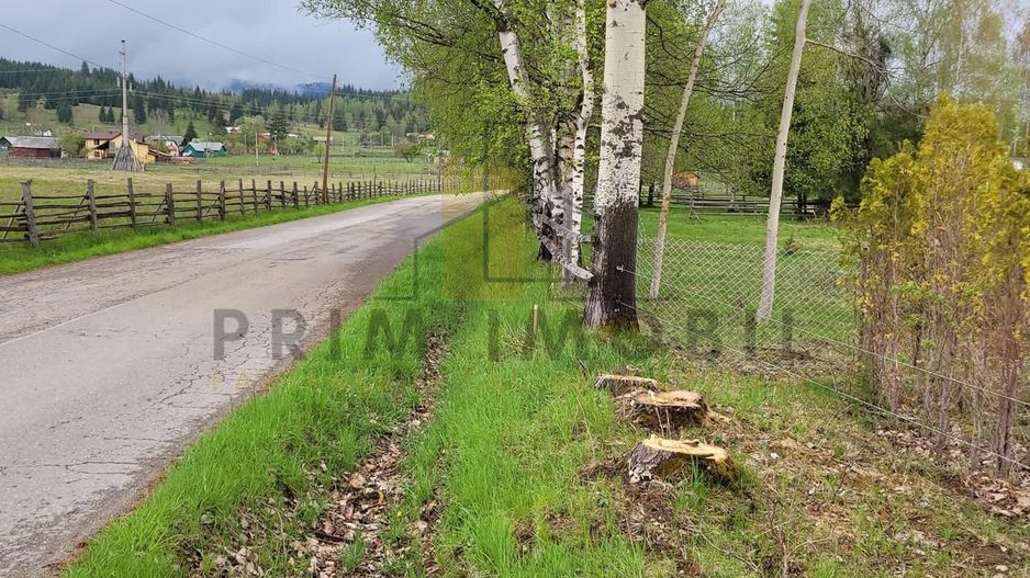 Teren Saru Dornei / Neagra Sarului - oportunitate investitie - Poză 1