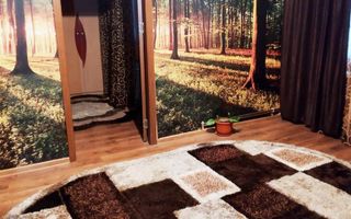 2 CAM PODU ROS PALAS CANTEMIR FARA RISC ETAJ INTERMEDIAR - Poză 2