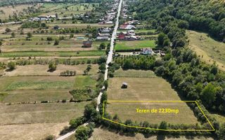 Teren superb de Vanzare in Darmanesti, Bacau - Poză 2