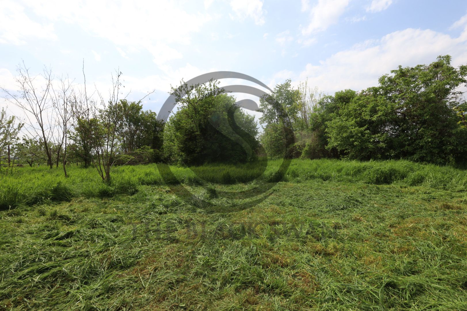 Teren si casa de vanzare | Habud - Sirna, Prahova | Comision 0% - Poză 12