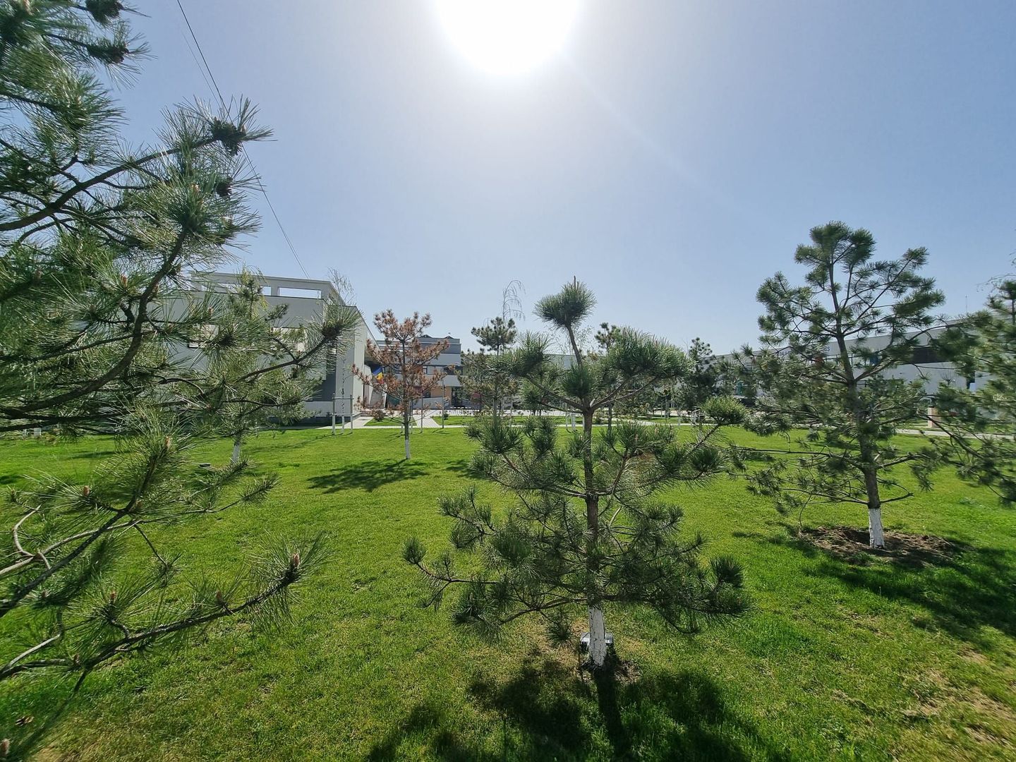 2 Camere Avangarde Rezidential Dudu Chiajna - Poză 5