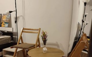 Apartament 1 cameră, decomandat, 35 m2, recent renovat, zona Piața Dacia, Iași - Poză 2