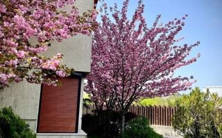 Vila Premium de Vanzare 241 mp I Sisesti - Poză 10