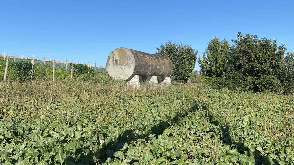 Proprietate cu casă, teren, sere și sistem de irigare – 15 min de Orhei - Poză 5