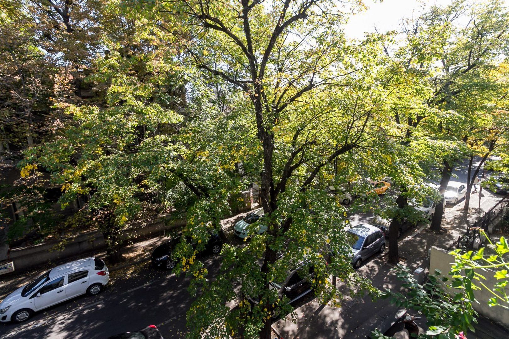 Apartament 3 Dorobanti Nou 100Mp || Strada Roma || Centrala Proprie || Video - Poză 8