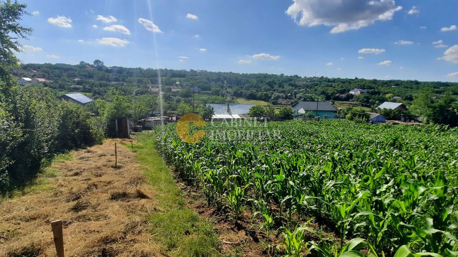 Casă / Vilă cu 2 camere de vânzare în Totoesti - Poză 15
