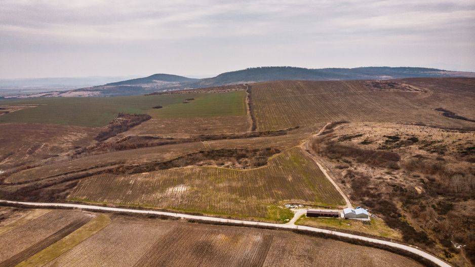 Vie de 115 Hectare în satul Dud, județul Arad - Poză 9