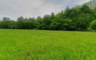 Teren Intravilan Valea Avrigului- 839 mp-Raul in fata terenului - Poză 5