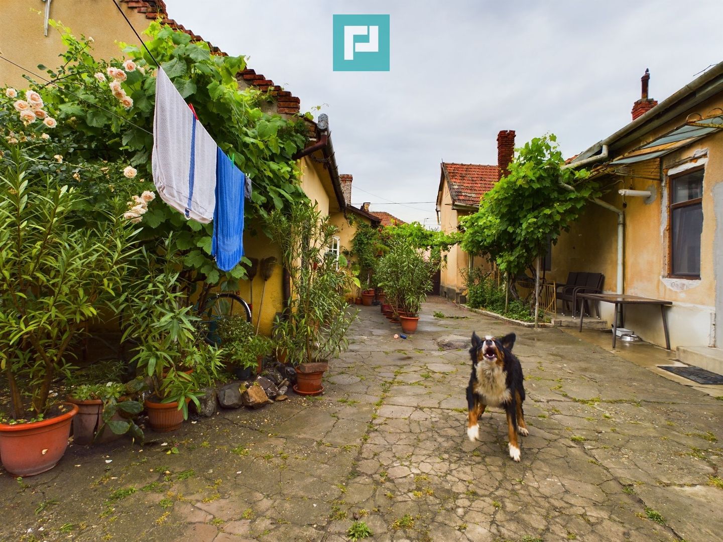 Apartament la casă cu 4 camere în Pârneava - Poză 20