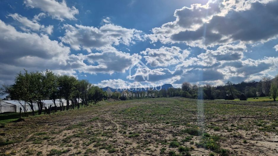 Teren 1,93 ha în Breb, Maramureș – zonă pitorească, Tăul Sărat - Poză 2