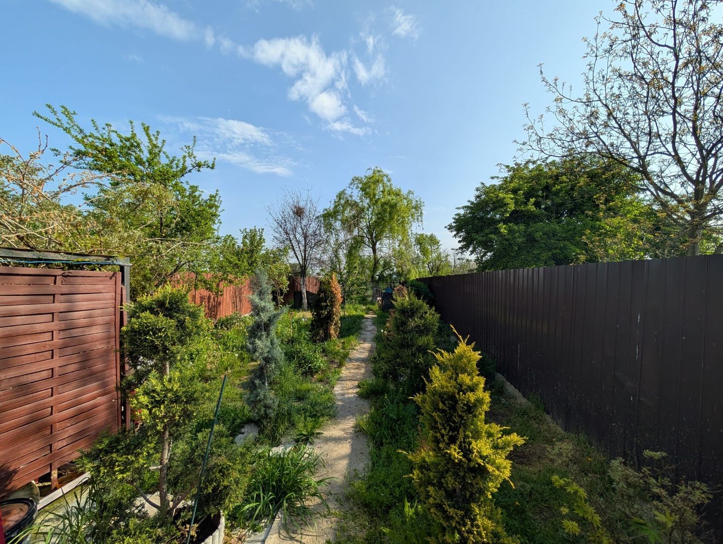 Vanzare Casa Dragomirești-Vale, Ilfov - Curte Mare, Oportunitate - Poză 22