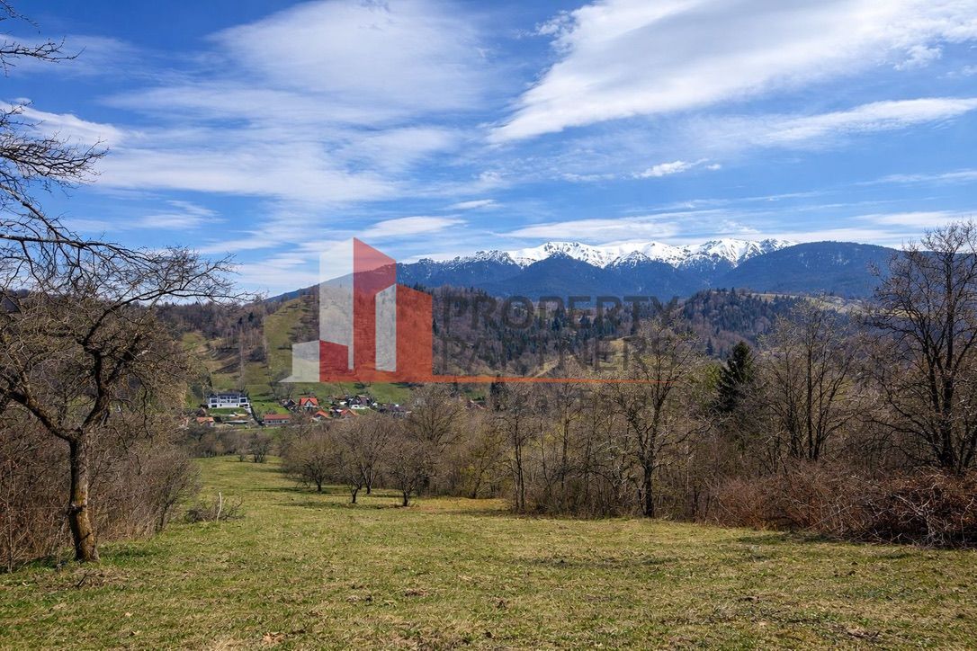 TEREN 11.500 MP + CASA AUTHENTICA ÎN BRAN – ȘIMON | VEDERE BUCEGI - Poză 5