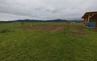 Grădină 862 mp cu cabanuta și pomi fructiferi – între Tălmaciu și Sadu - Poză 5
