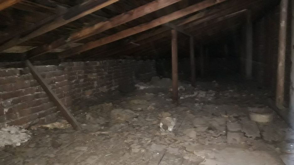 De Vanzare Apartament 3 camere + pod, in vila Ultracentral, Armeneasca - Poză 17