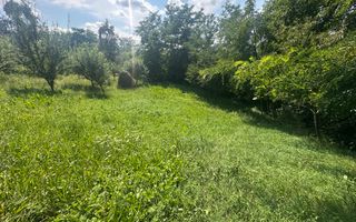 Teren Darmanesti | 41 Ari | 26.500EURO - Poză 7