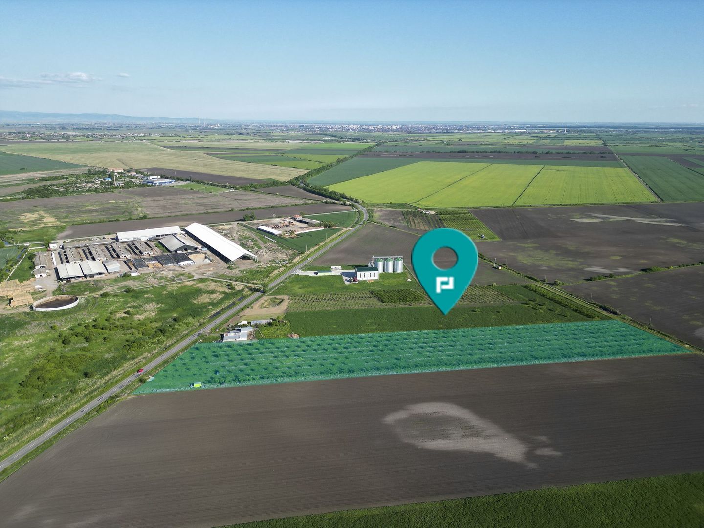 Livadă de nuci și pruni 2.4ha în Variașul Mare - Poză 2