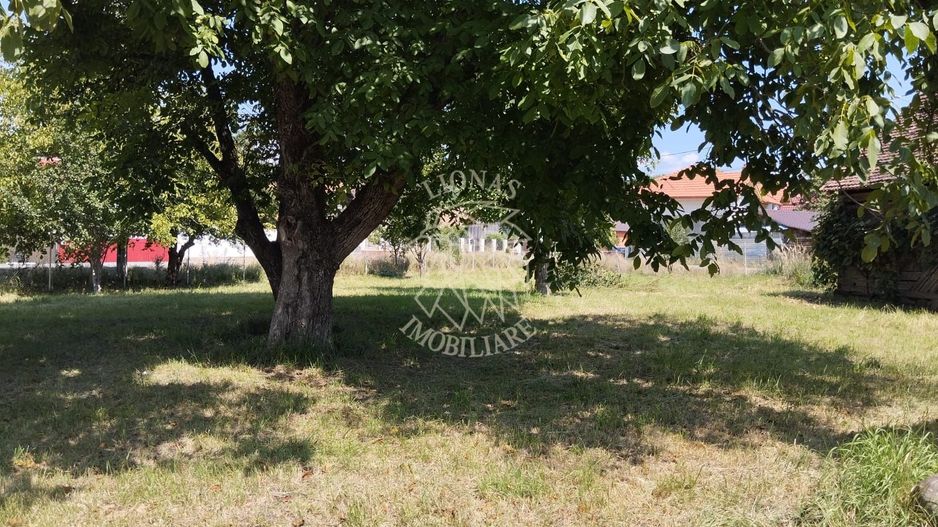 Casa 110 mp 7 incaperi-teren 3850 mp-anexa-Dorolea, 15 km de Bistrita - Poză 3