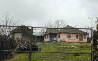 De vânzare gospodărie zonă liniștită, eco, com. Lespezi - Poză 1