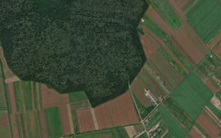 Parcelă teren 433 mp lângă pădure - Poză 1