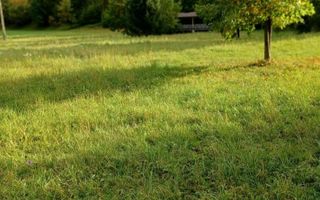 Teren de vis de vanzare in Remeti-Bihor-27p0 mp - Poză 12