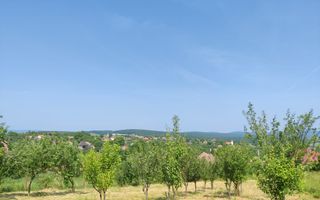 Casa individuala cu teren de 5000 mp, Deusu - Poză 8