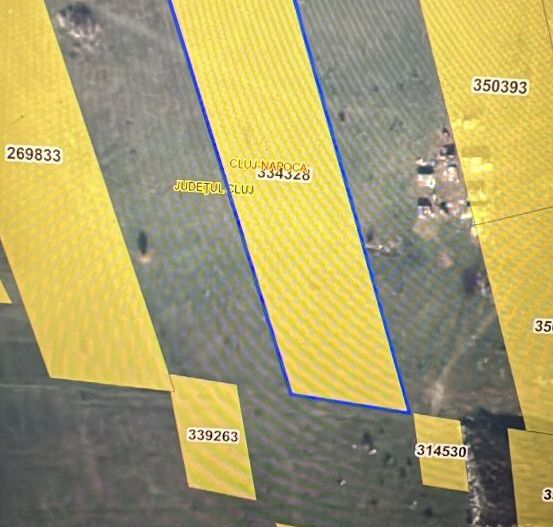 Teren intravilan | 8,602 | Pata Rat - Poză 2