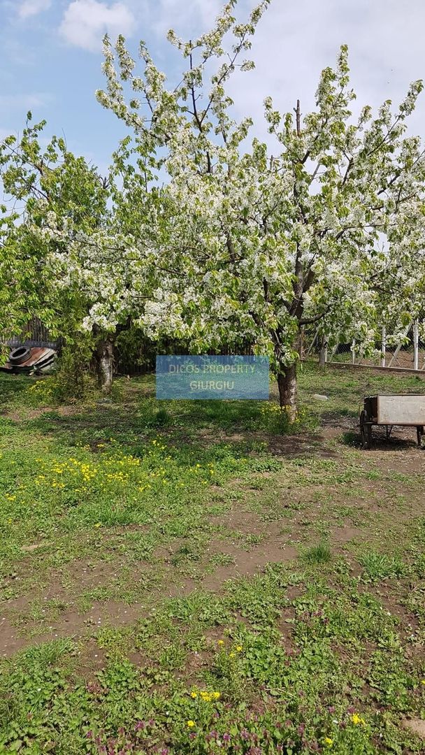 Teren 2.600 mp, utilități, Str. Merișor – Giurgiu - Poză 12