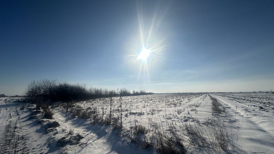 Teren Extravilan | 52 ari | Maneuti | Front 26 m | 55.500 € - Poză 9