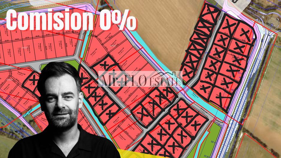 Teren Parcele Industriale Mosnita Noua - Poză 1