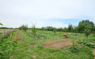 Casă cu teren generos – Vedea-Arges - Poză 31