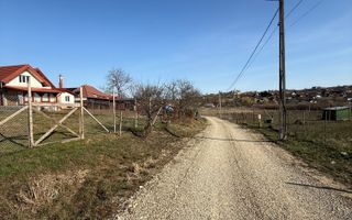 Teren intravilan 700 mp cu utilități în Paleu - Poză 5