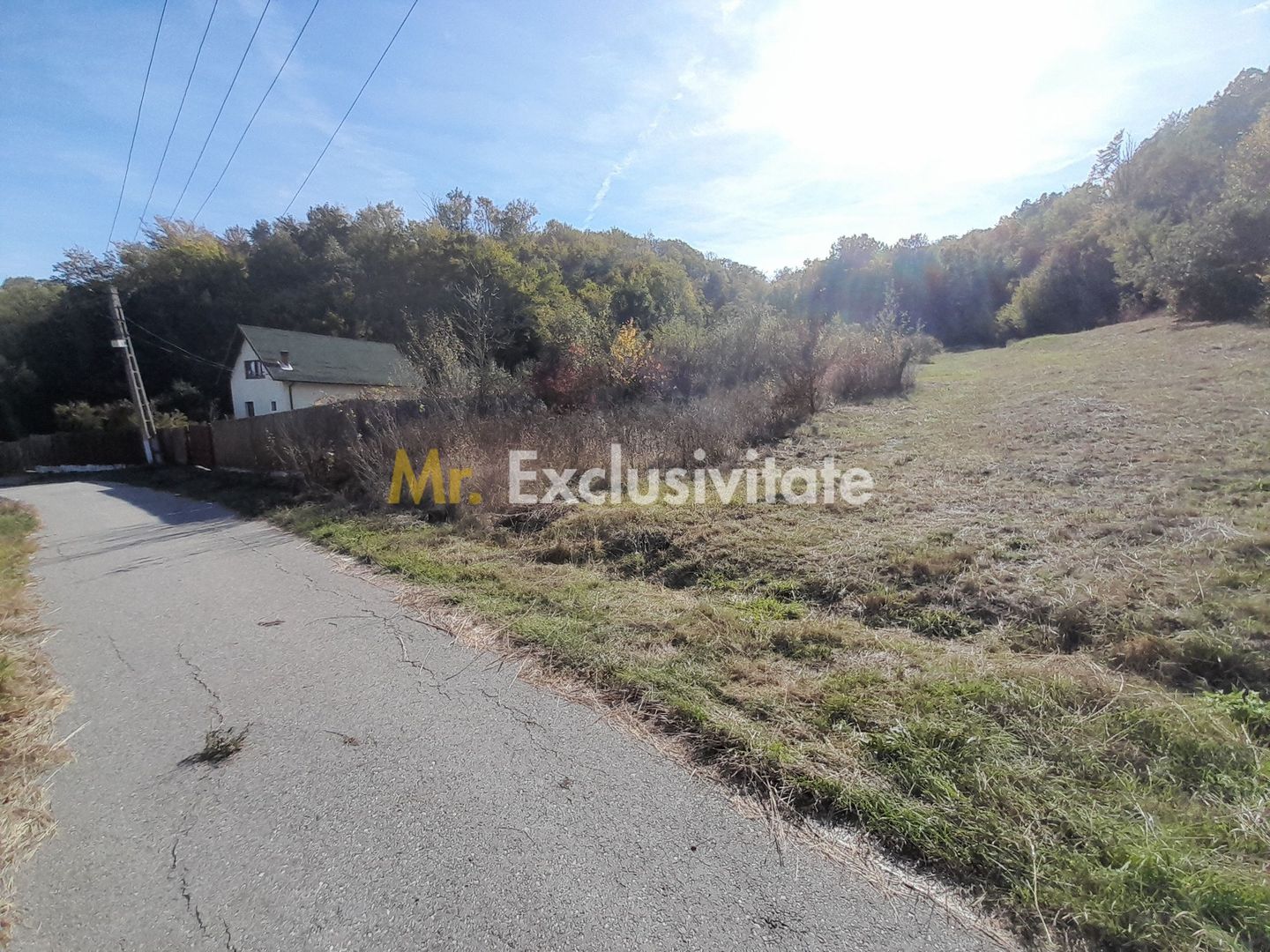 TEREN DE VANZARE IN BABANA, ARGES,  LANGA PADURE - Poză 2