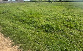 Teren 1239 mp front 29 in Aradul nou - Poză 10