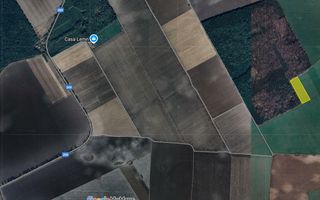 Teren excelent pozitionat cu doua laturi padure - Poză 2