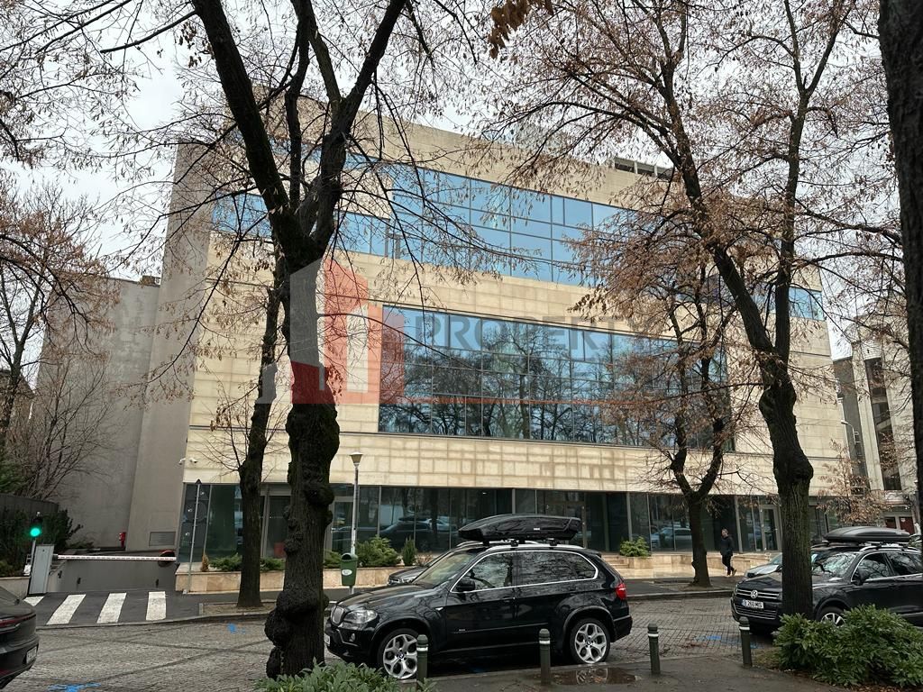 Unic, intre Victoriei si Charles de Gaulle - Poză 1