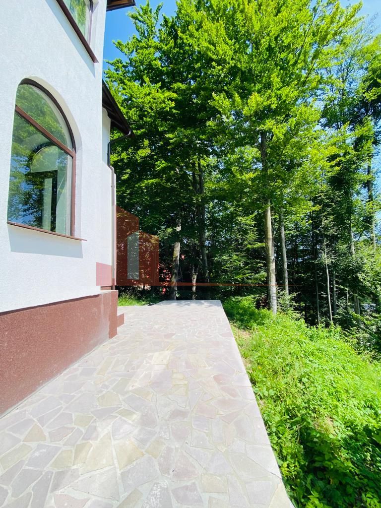 Vila Sinaia - Poză 11