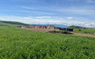 TEREN I 45200 MP - Poză 4