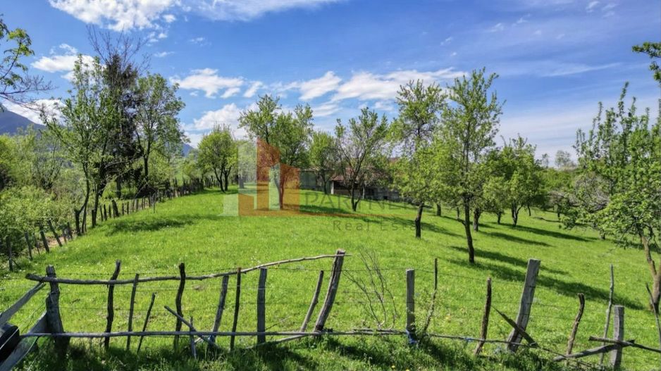 Teren 15.856 mp în Bran Sohodol | Ideal dezvoltare turistică - Poză 6
