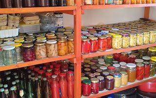 Casa la tara in Sacadat, Bihor, teren 2826 mp, acces auto - Vanzare - Poză 11