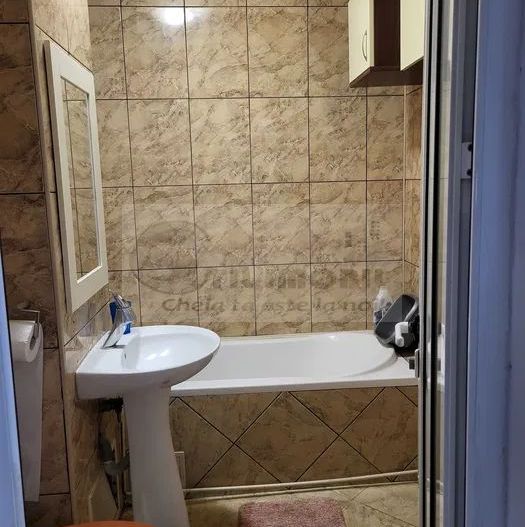 Apartament 1 camera Pacurari - 299 EURO - Poză 7